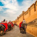 Amber fort