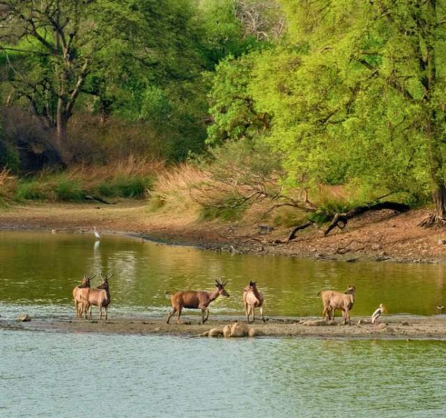 Kanpur Historical Religious Tour