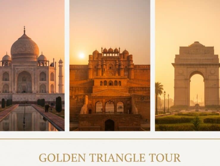 golden tringale tour